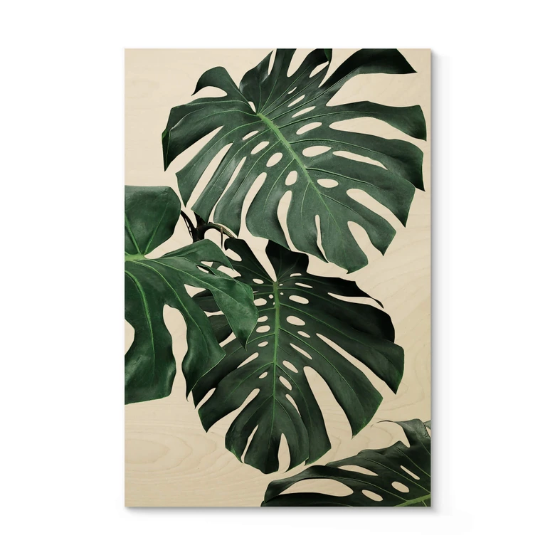 Tableau sur bois Sisi & Seb - Monstera 