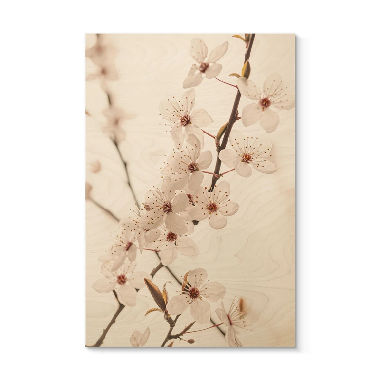 Holzbild Zweig mit weißen Kirschblüten - Sisi & Seb 