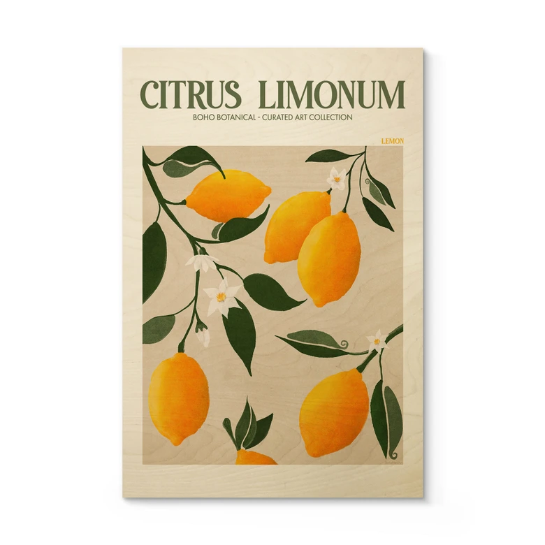 Træplakat Frugt - Boho citrontræ - Citrus Limonum - Tunaboylu 