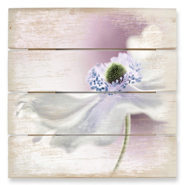 Holzbild Disher - Anemone Breeze - 40x41,5 cm 