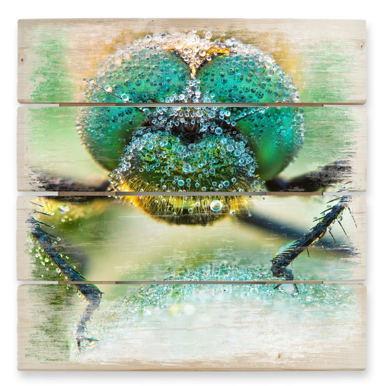 Cuadro de madera Sabol - Rocío matinal - 40x41,5 cm 
