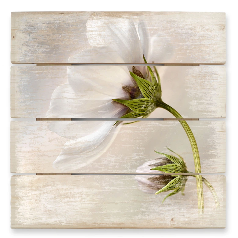Holzbild Disher - Cosmos - 40x41,5 cm 