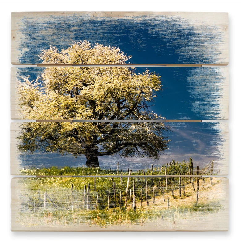 Holzbild Blütenpracht im April - 40x41,5 cm 