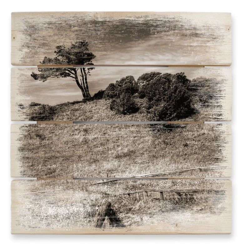 Holzbild Landschaft auf Hiddensee - 40x41,5 cm 