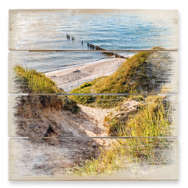 Holzbild Ostseedüne - 40x41,5 cm 