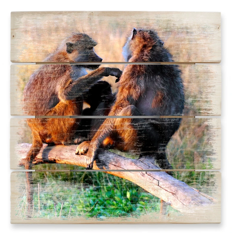 Holzbild Affenbande - 40x41,5 cm 