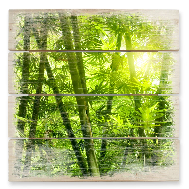 Stampa su legno - Luce del sole nel bosco di bambù 