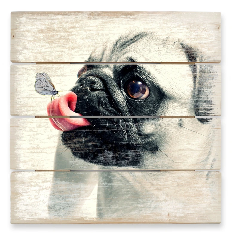 Holzbild Tierische Zuneigung - 40x41,5 cm 