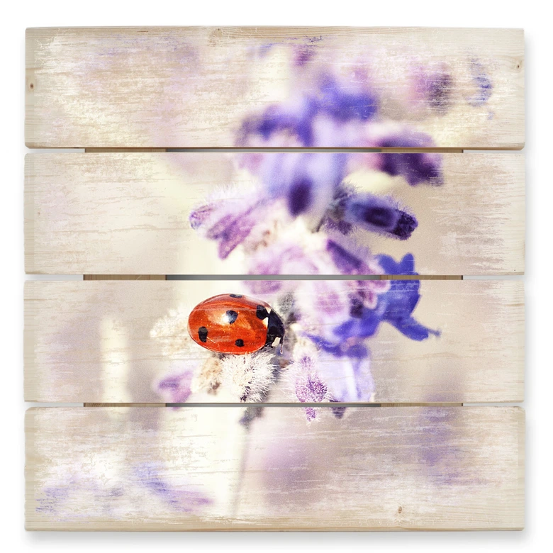 Holzbild Little Friend - 40x41,5 cm 