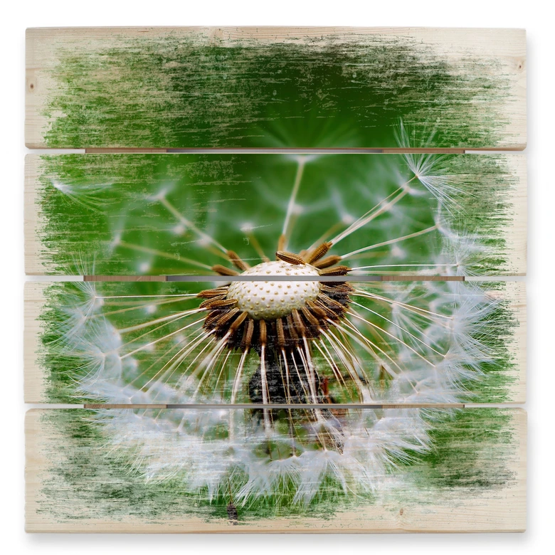 Holzbild Pusteblume im Wind - 40x41,5 cm 