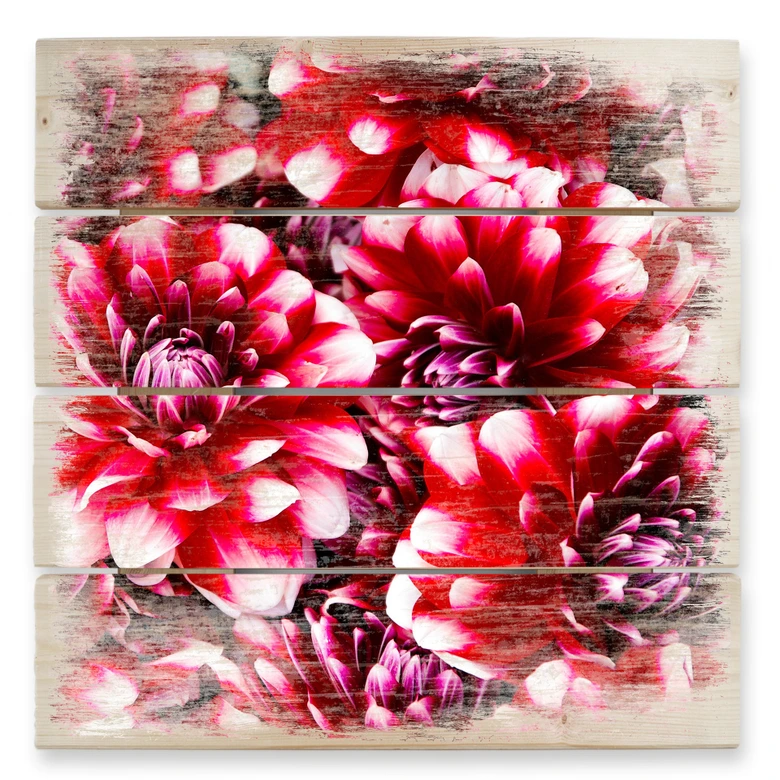 Holzbild Rote Blütenpracht - 40x41,5 cm 