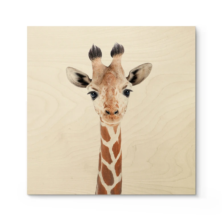 Holzbild Baby Giraffe - Sisi & Seb - Quadratisch 