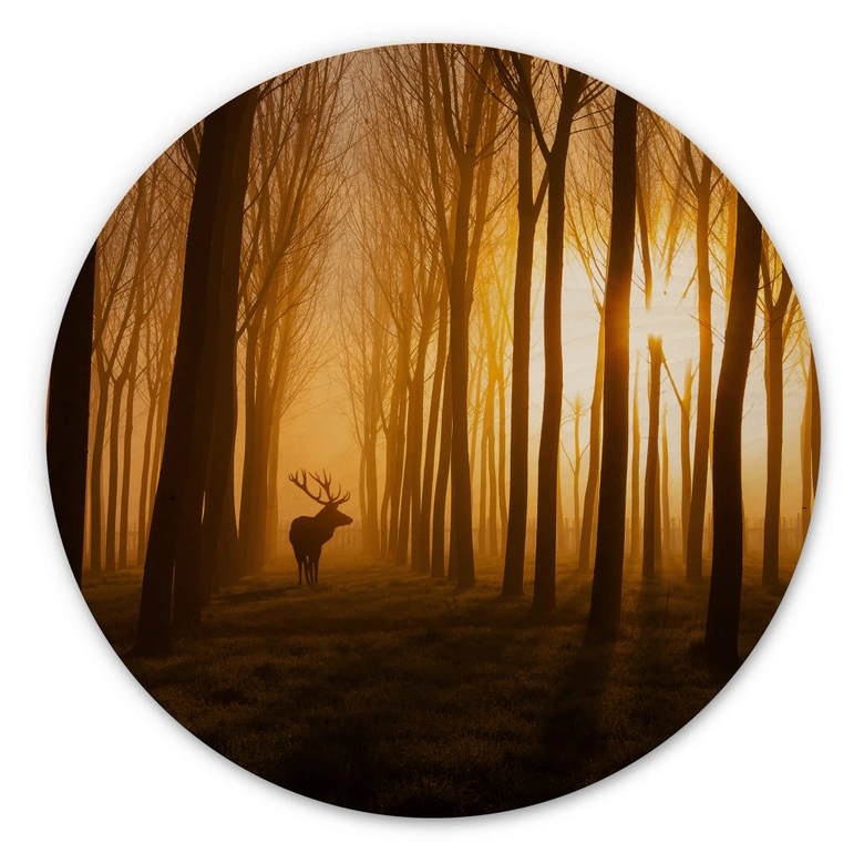 Wandcirkel Hout Norim - Forest Beauty 