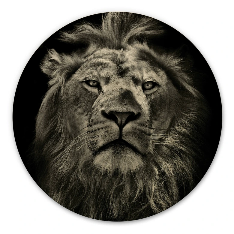 Holzbild Lion - Rund 
