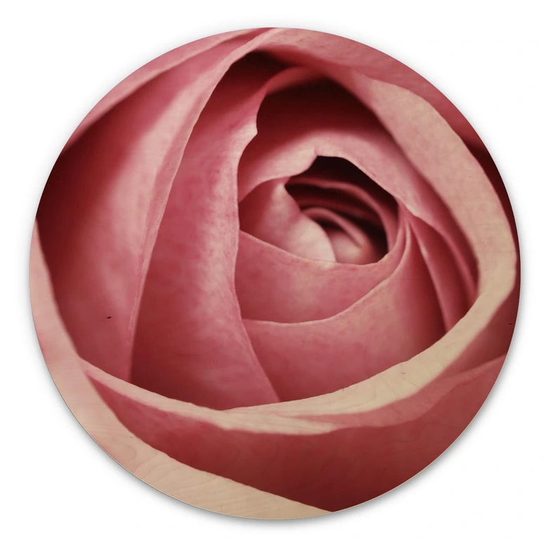 Holzbild Die rosa Rose - Rund 