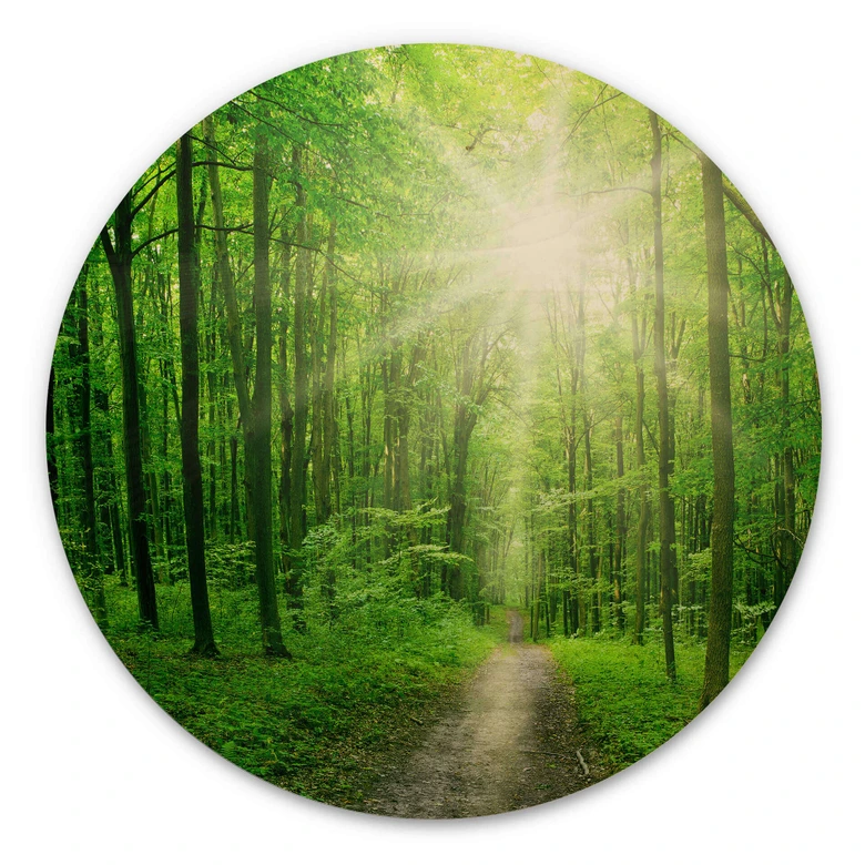 Holzbild - Sunny forest - Rund 