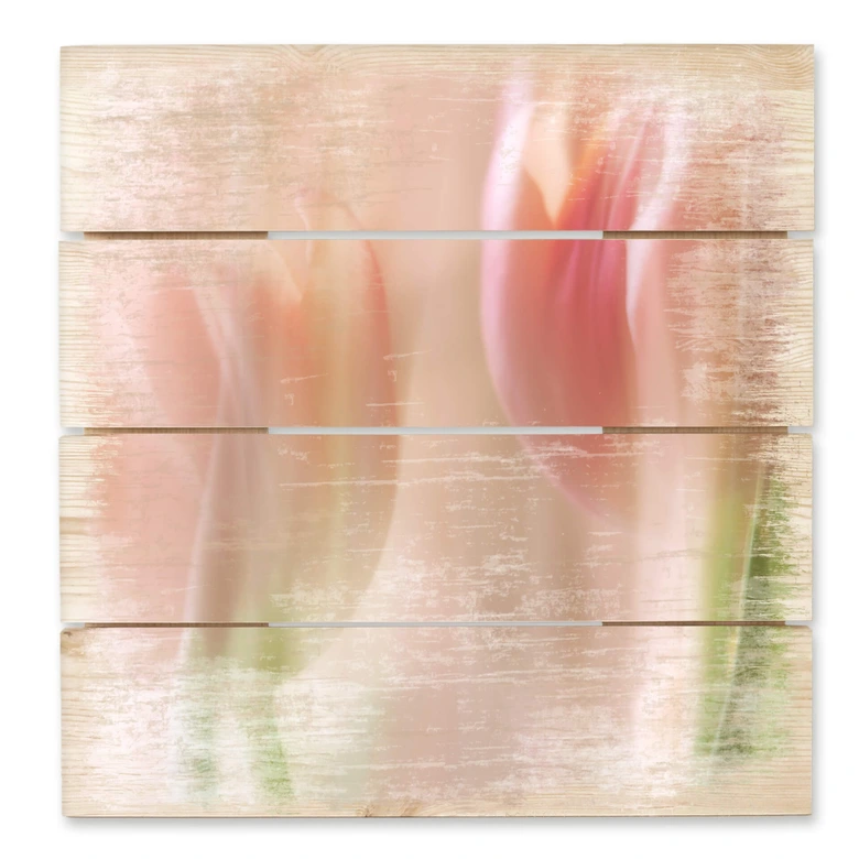 Holzbild Westum - Shy tulips - 40x41,5 cm 