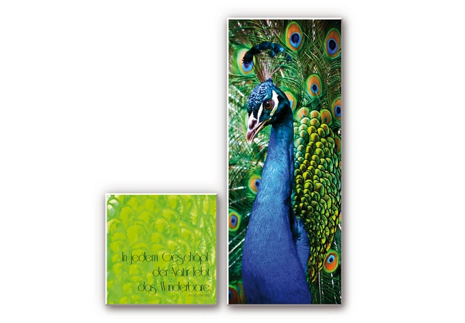 Wandbild In jedem Geschöpf der Natur (2-teilig) 