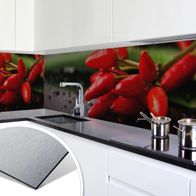 Küchenrückwand - Alu-Dibond-Silber - Exotische S 