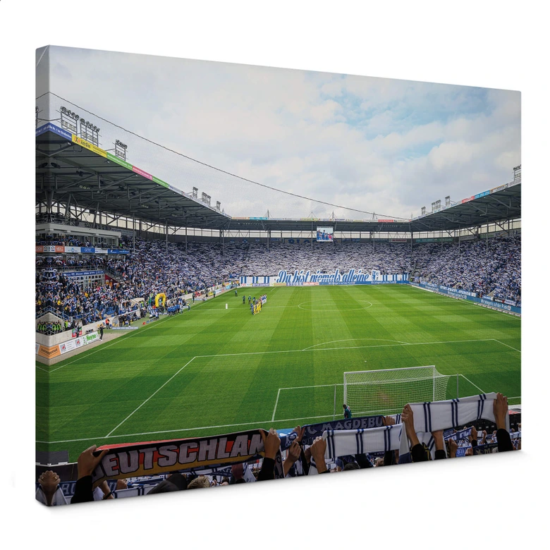 Lienzo 1. FC Magdeburg - Estadio Choreo 