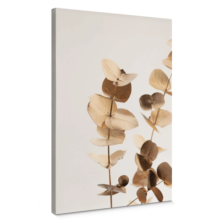 Leinwandbild 1X Studio - Goldener Eukalyptus 