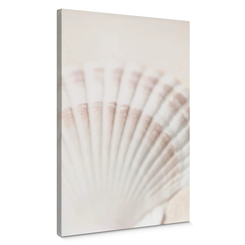 Leinwandbild 1X Studio - Jakobsmuschel 