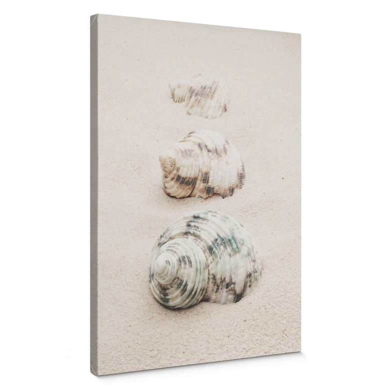 Canvastavla 1X Studio - Havssniglar 