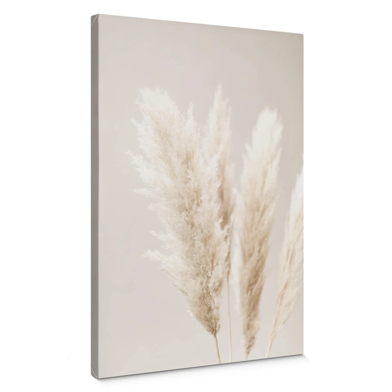 Canvas 1X Studio - Pampas 