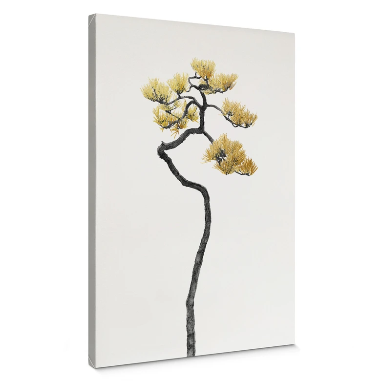 Lienzo Bonsai en equilibrio - Amini 