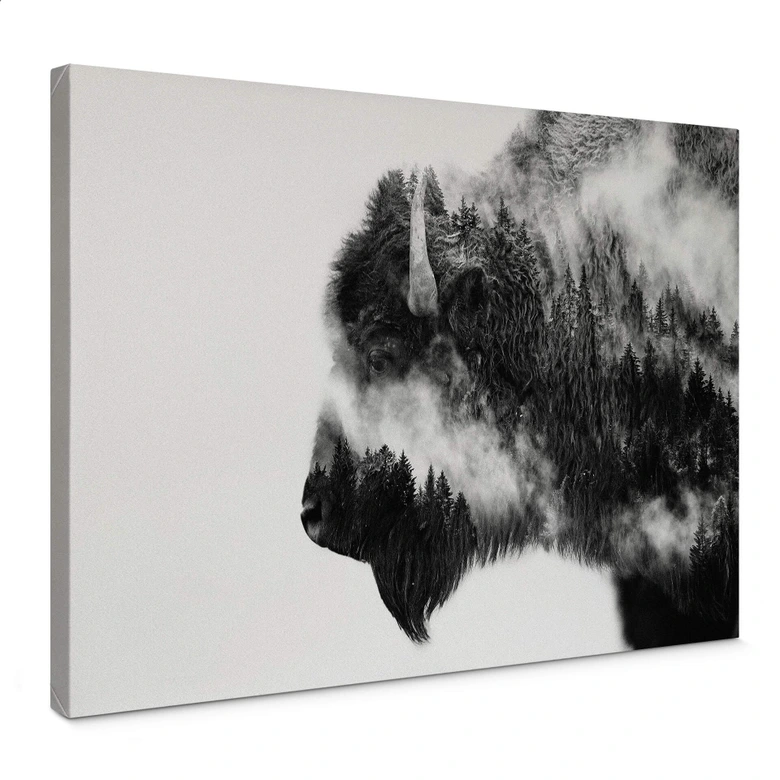 Leinwandbild Angyalosi - Bison 
