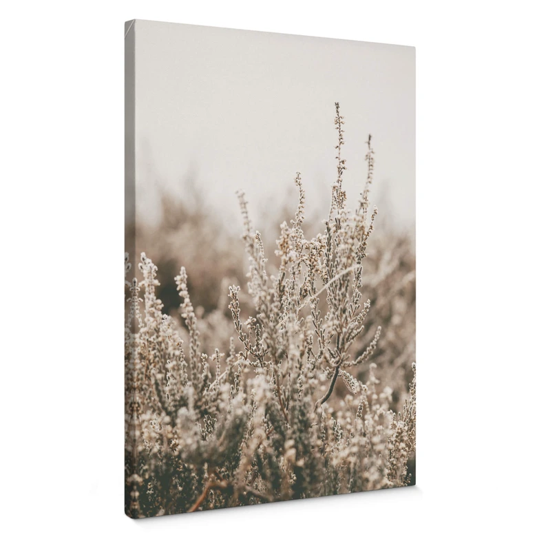 Lienzo Annie - Hierbas 