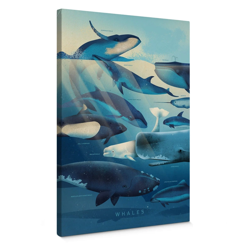 Lienzo marrón - Ballenas 