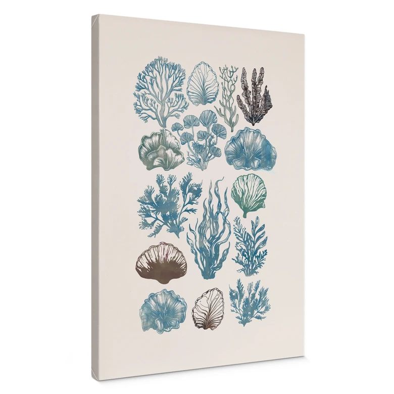 Canvas schilderij Filigraan algen en schelpen | onderwaterplanten - casa cartissi 