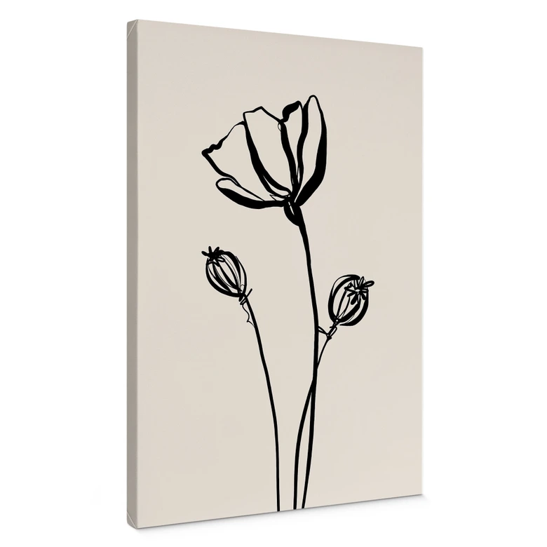 Leinwandbild Line Art Mohnblume - Cats & Dotz 