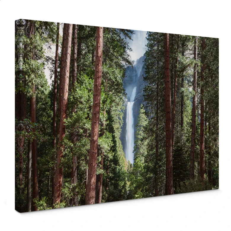 Leinwandbild Colombo - Wasserfall im Wald 