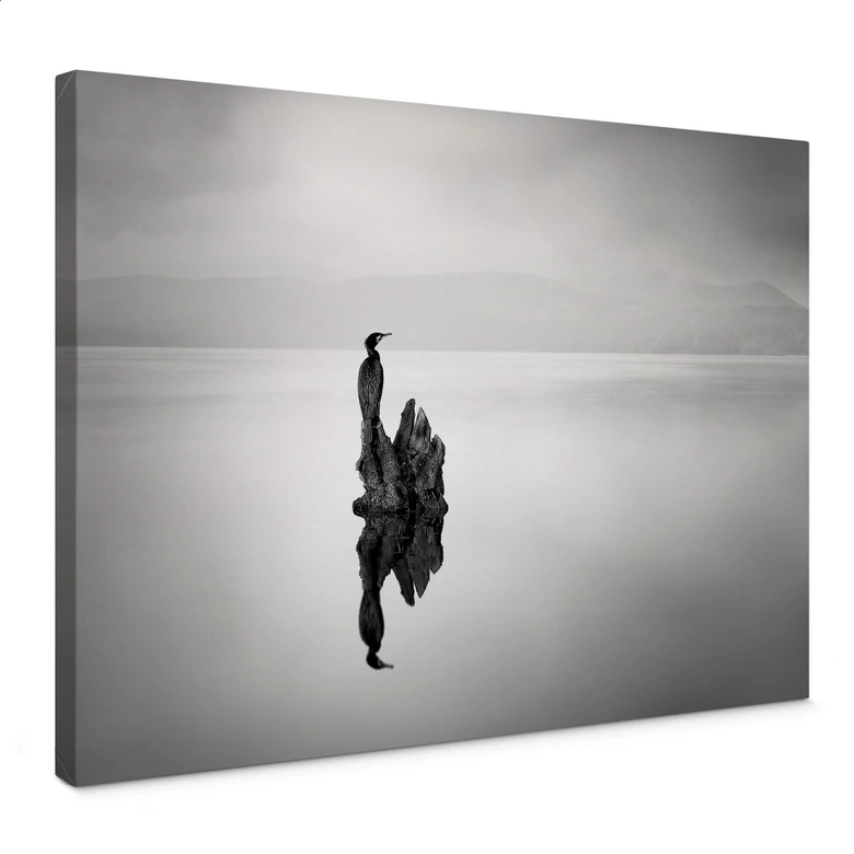 Leinwandbild Digalakis - Eleganter Wasservogel 