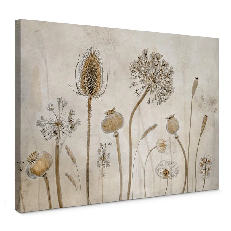 Tableau sur toile Disher - fleurs séchées 