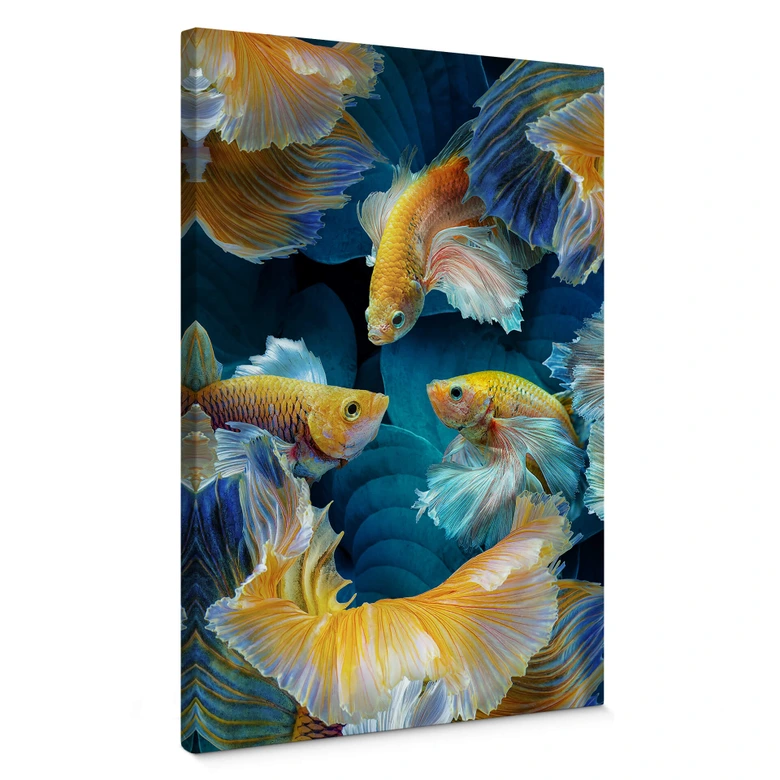 Cuadro lienzo Egger - Peces de colores 