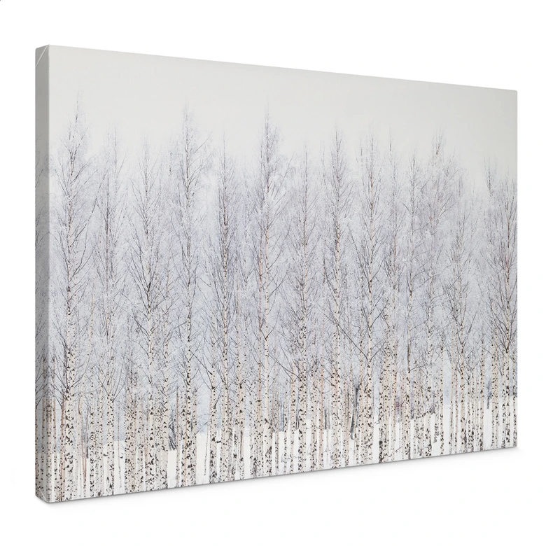 Leinwandbild Birkenwald im Winter - EMELIEmaria 