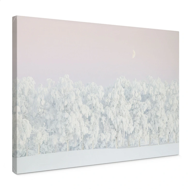 Leinwandbild Verschneiter Winterwald mit Mond - EMELIEmaria 