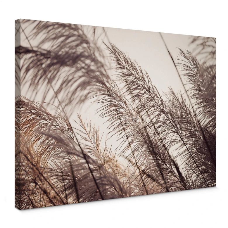 Leinwandbild Gräser in Pastell 