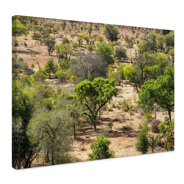 Leinwandbild Savannenlandschaft in Afrika - Hugonnard 