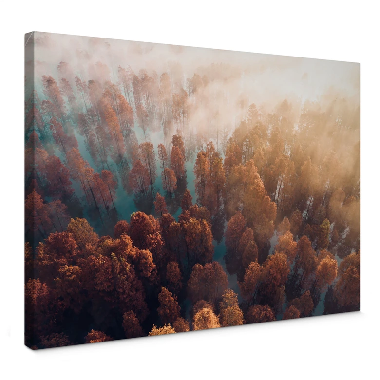 Leinwandbild Herbstwald im Nebel - Ioricon 