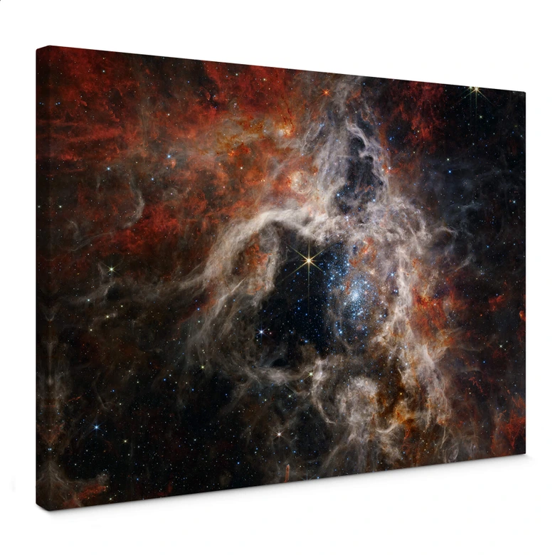 Obraz na płótnie Teleskop Jamesa Webba - Mgławica Tarantula 