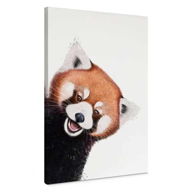 Lienzo Panda rojo - Korenkova 