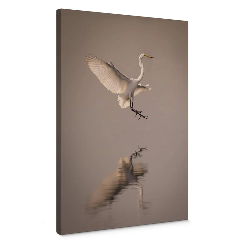 Leinwandbild Lai - Vogel-Landung auf dem Wasser 
