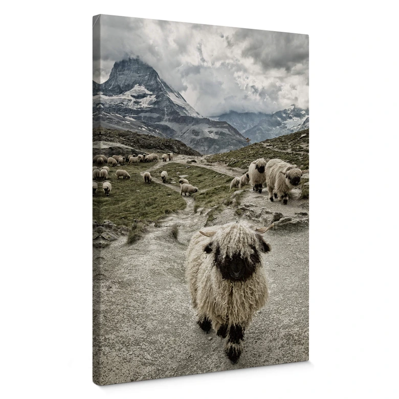 Leinwandbild Landolt - Ausflug in die Berge 