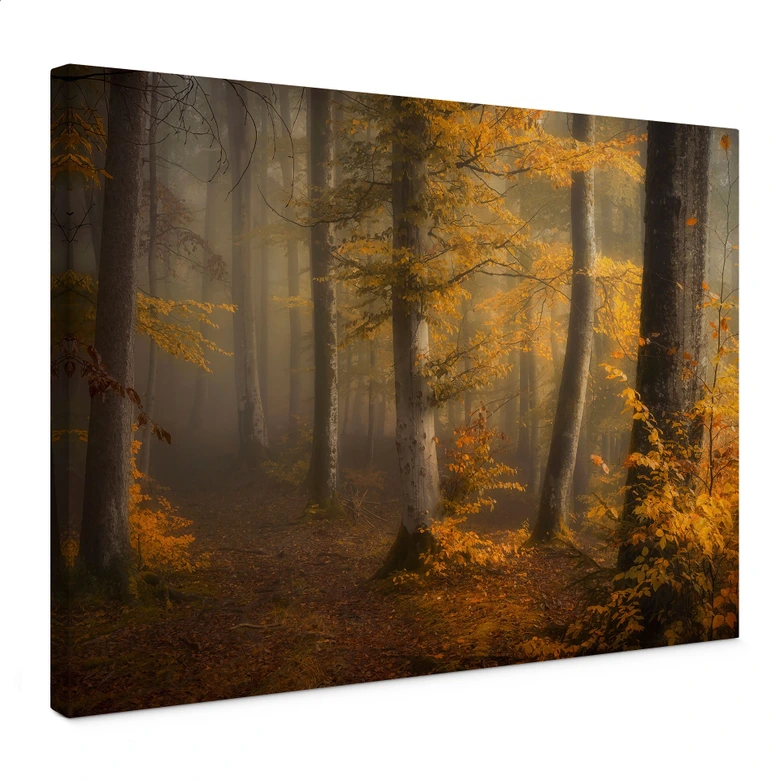 Leinwandbild Goldene Blätter im nebligen Wald - Maier 