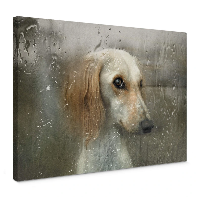 Canvas Melik-Nubarova - Faithful Friend 