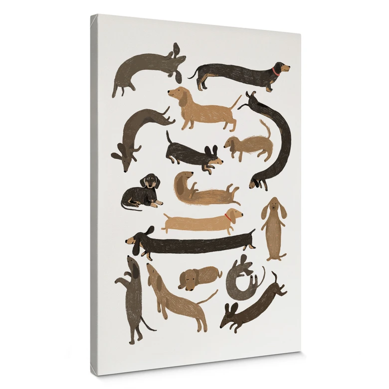 Leinwandbild Verspielte Dackel - Hunde Illustration - Melin 
